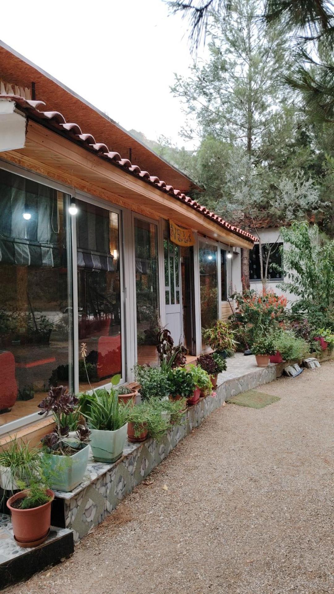 Bovilla Canyon Dajti 外观 照片