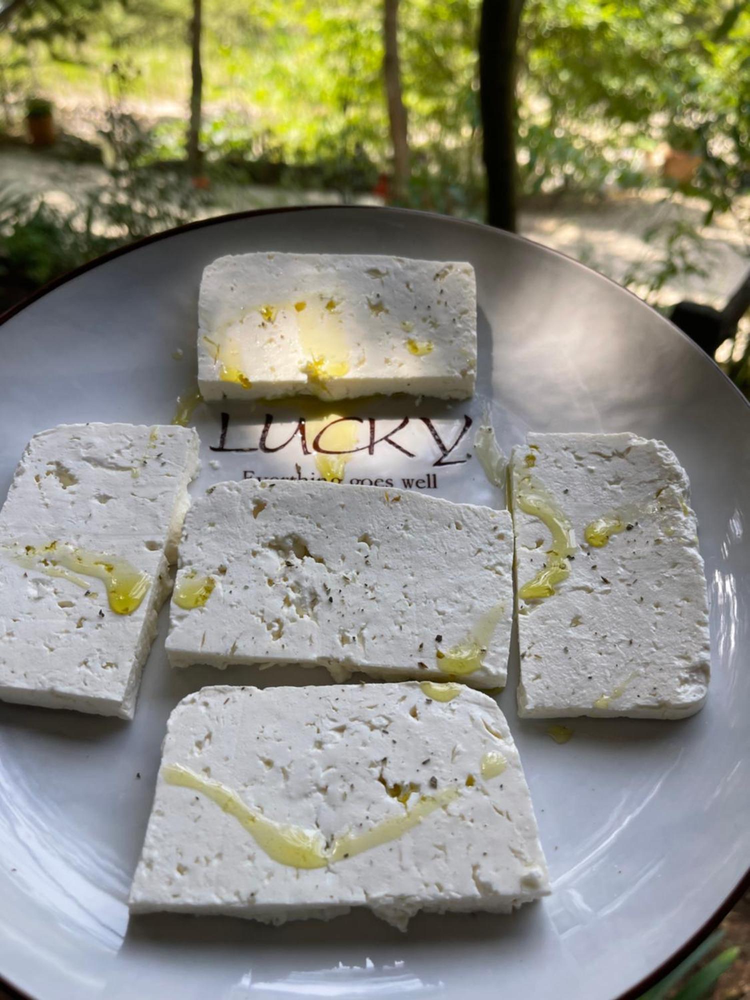 Bovilla Canyon Dajti 外观 照片